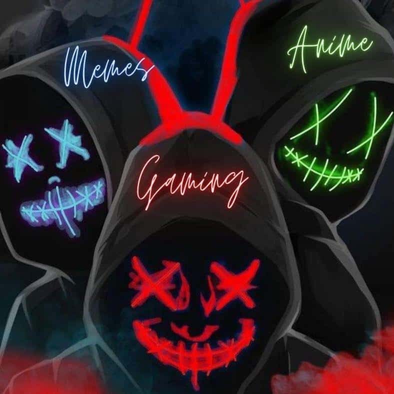 Gaming, Memes, Anime